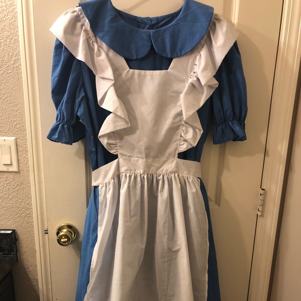 Alice in Wonderland Costume